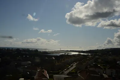 DSC_7247 (Large).JPG